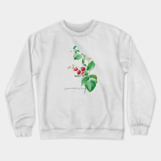 Vintage Raspberry Illustration Crewneck Sweatshirt